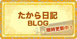 bt_top_c_blog_off.png