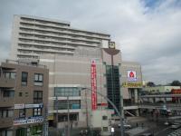 IMG_3375.jpg