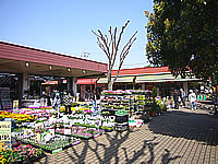 photo04.jpg