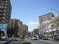 photo05.jpg