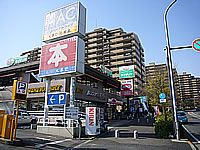 photo06.jpg