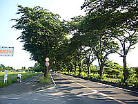 photo04.jpg